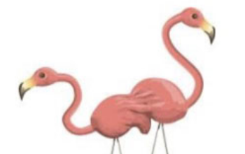 Send Flock of Flamingos