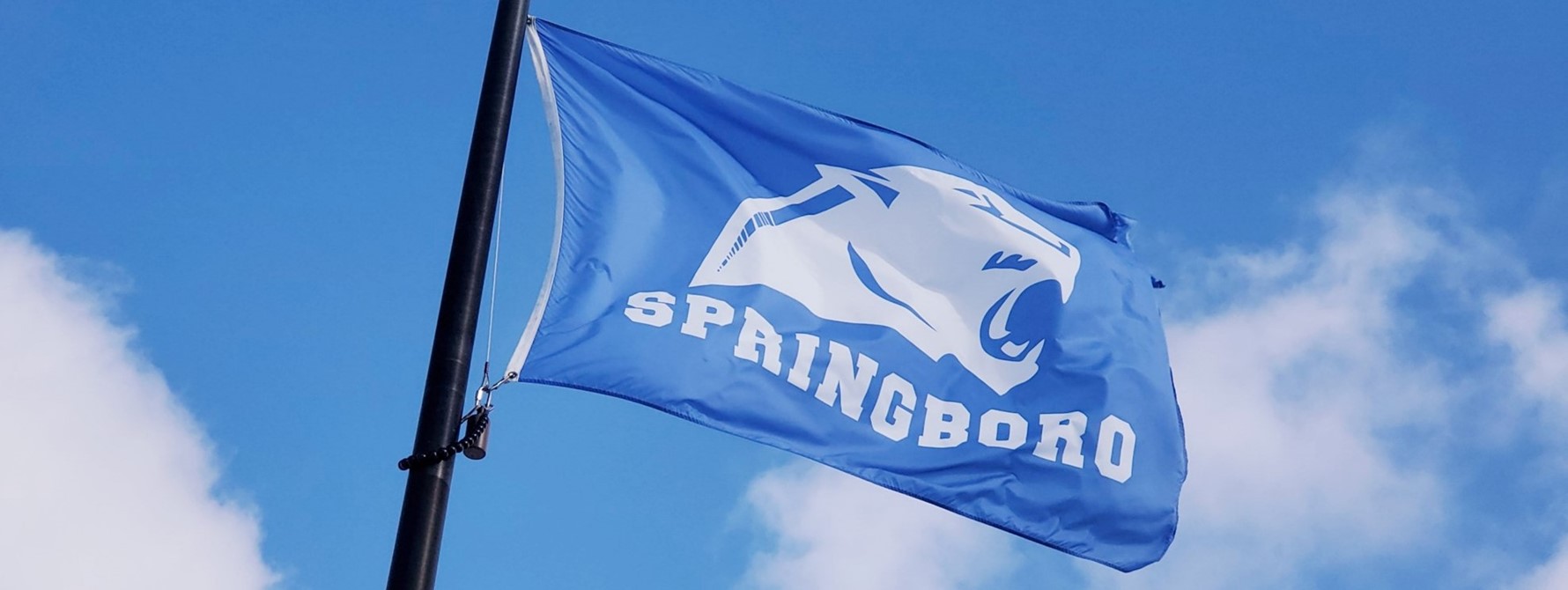 Springboro Flag